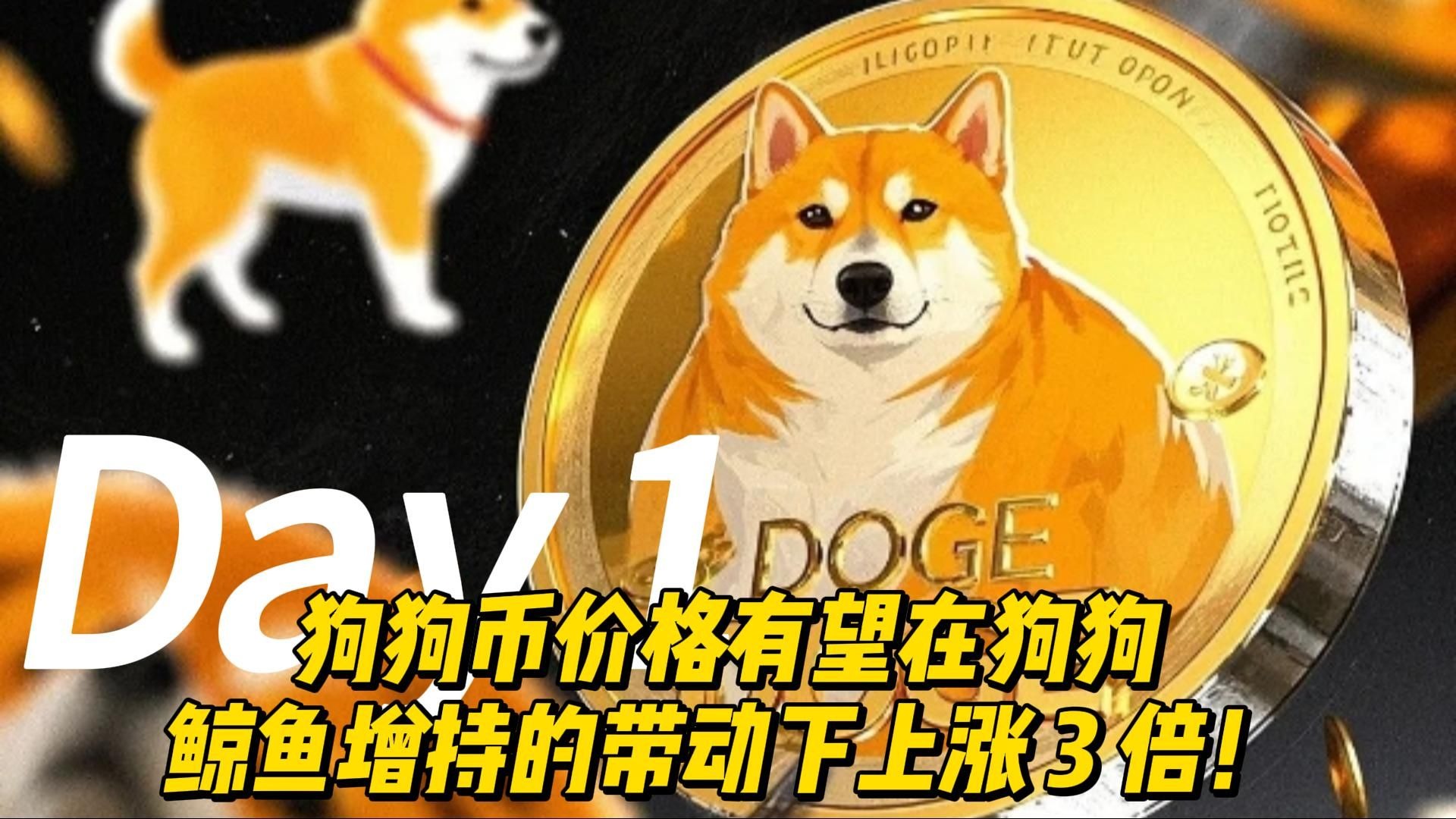狗狗币空投即将开始，参与用户将获427枚代币